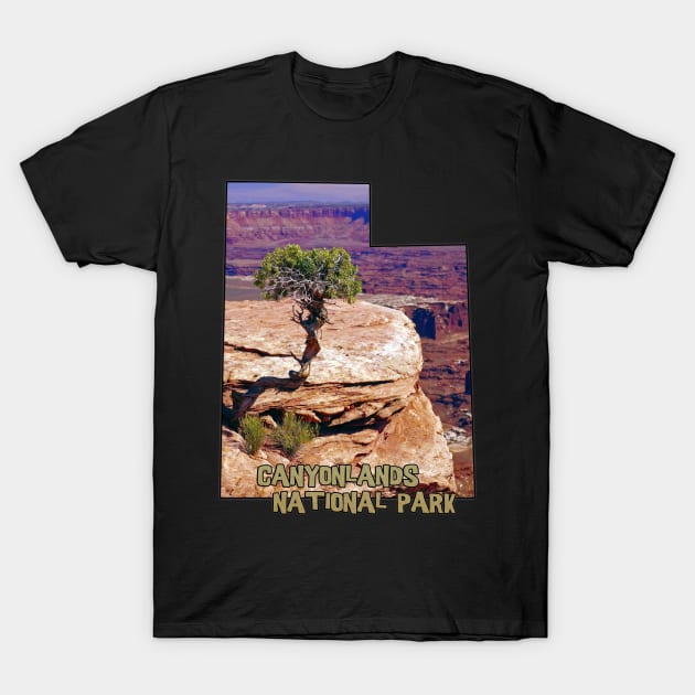 Utah State Outline - Canyonlands National Park T-Shirt by gorff